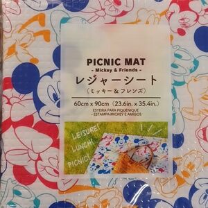 Disney Picnic Mat